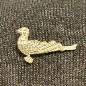 Pin "Papagoy"