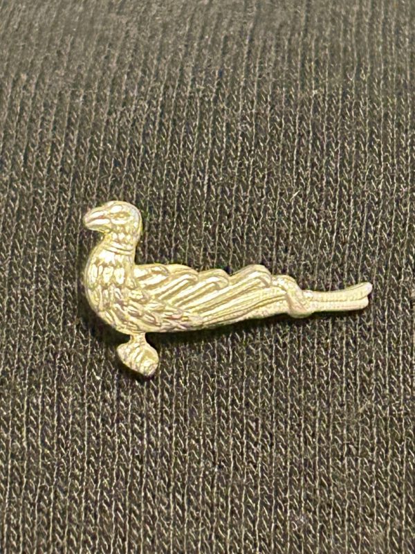 Pin "Papagoy"
